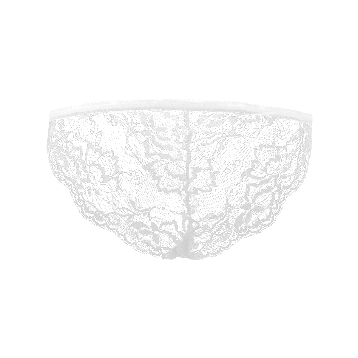 Women's Lace Underwear(ModelL41)