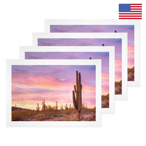Art Print 24"x16" (Pack of 4) | Ships from USA