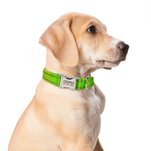 Laser Engraved Metal Buckle Pet Collar（Made in USA）