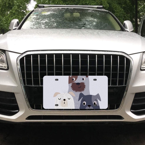 License Plate 15 x 30