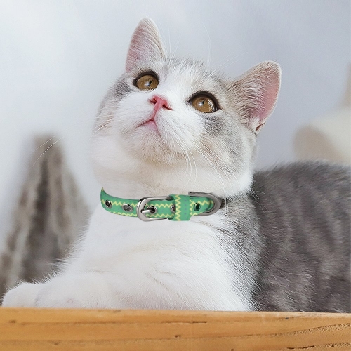 Pet collar (Q025 )