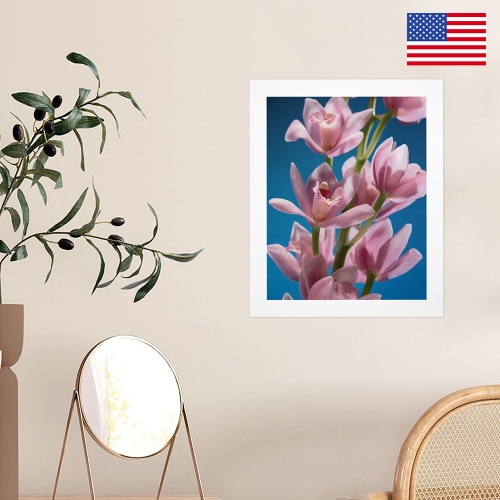 Art Print 11"x14" | Ships from USA