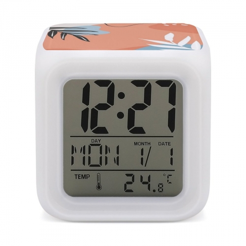 Color Change Alarm Clock