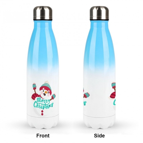 Stainless Steel Water Bottle