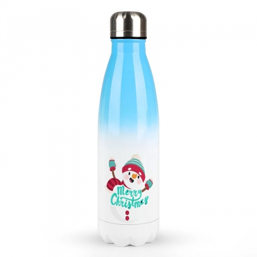 Stainless Steel Water Bottle