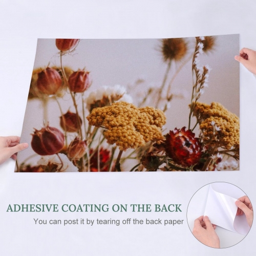 Self Adhesive Poster (Horizontal)