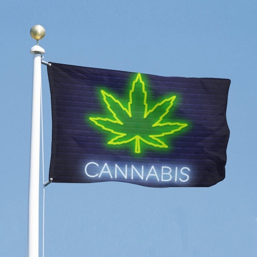 Custom Flag with Two Grommets (24x35 in)