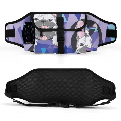 Pet Training Fanny Pack