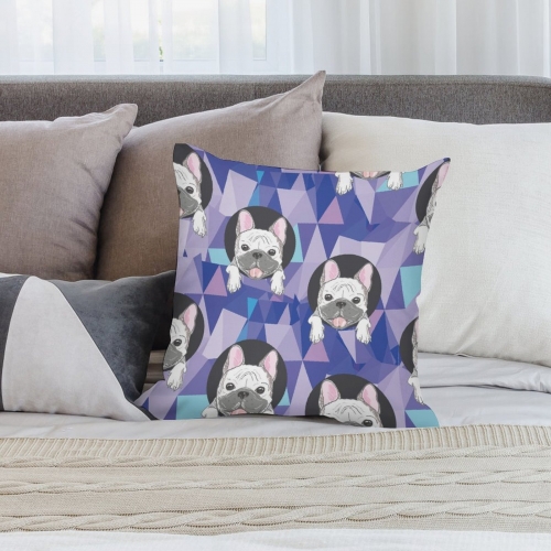 Plush Pillow Case(Double-sided design)