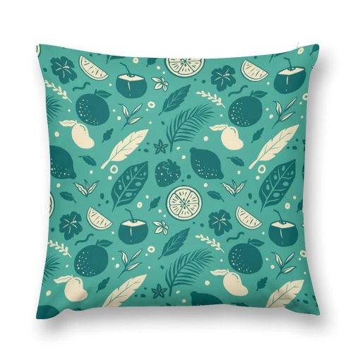 Plush Pillow Case(Double-sided design)