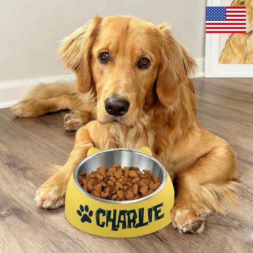 Pet Bowl | Ships from USA