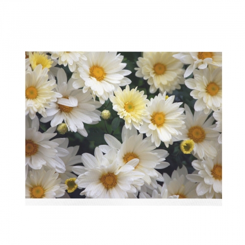 Art Print 24"x18" (Made in USA)