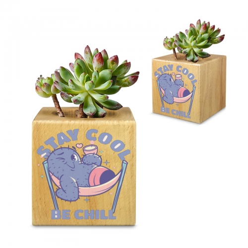 Mini Flowerpot with Custom Crystal Sticker | Ships from USA