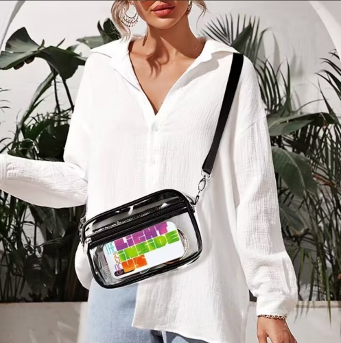 Small Clear Satchel Bag