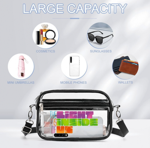 Small Clear Satchel Bag