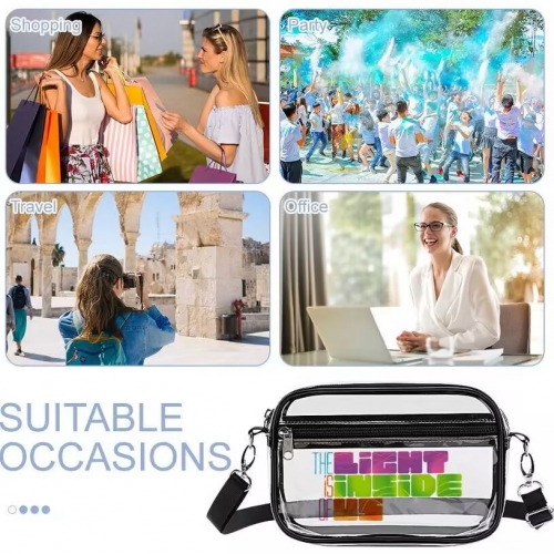 Small Clear Satchel Bag