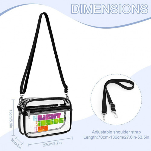 Small Clear Satchel Bag