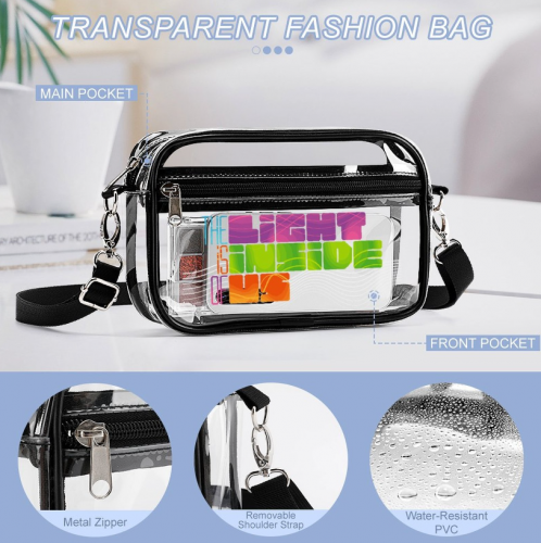 Small Clear Satchel Bag