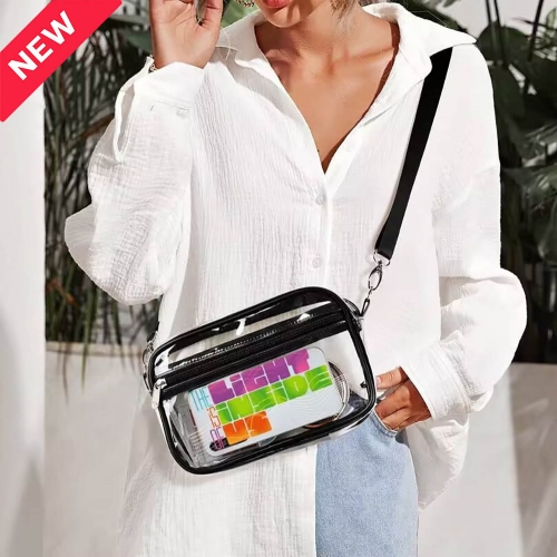 Small Clear Satchel Bag