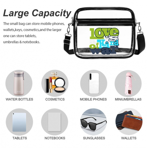 Large Clear Satchel Bag