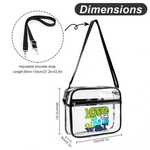 Large Clear Satchel Bag