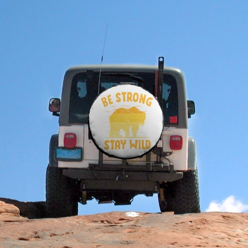 Oxford Cloth Tire Cover