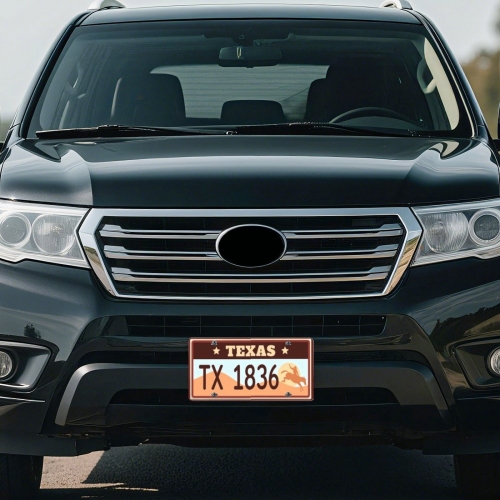 Custom License Plate | Ships from USA