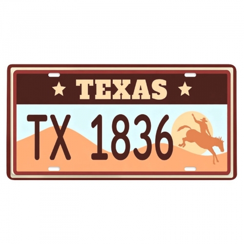 Custom License Plate | Ships from USA