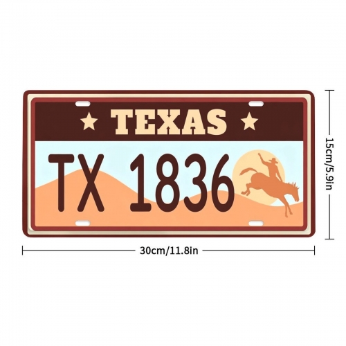 Custom License Plate | Ships from USA