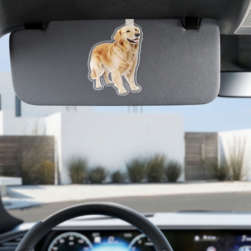 Custom Shaped Car Sun Visor Clip