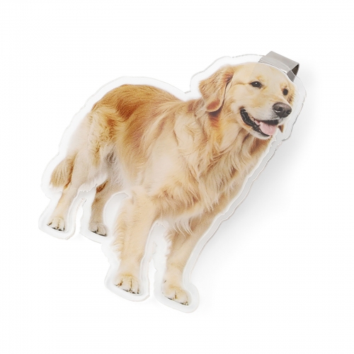 Custom Shaped Car Sun Visor Clip