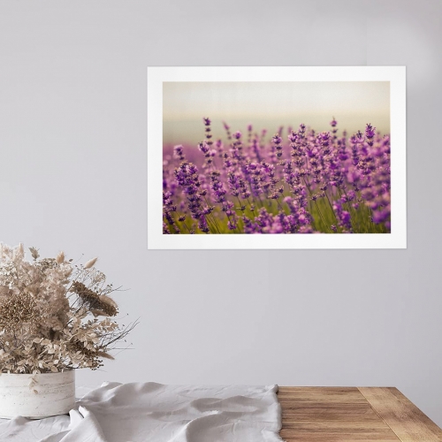 Art Print 16" x 12" | Ships from USA