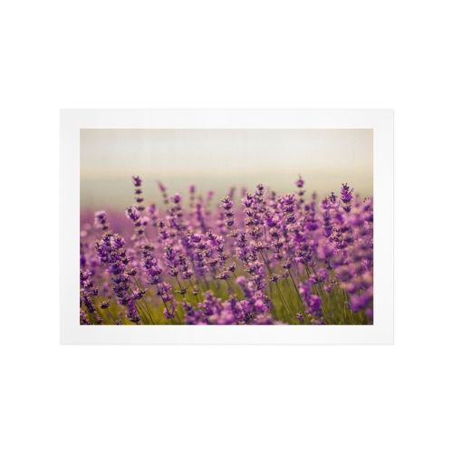 Art Print 16" x 12" | Ships from USA