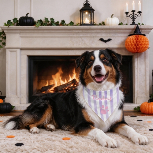 Pet Bandana - 66 x 45cm ( USA Fulfillment - Queens )