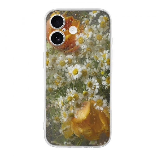 iPhone 18 Transparent Case