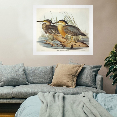 Art Print 24" x 20" Set of 3 ( US Fulfillment - Chicago )