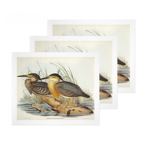 Art Print 24" x 20" Set of 3 ( US Fulfillment - Chicago )