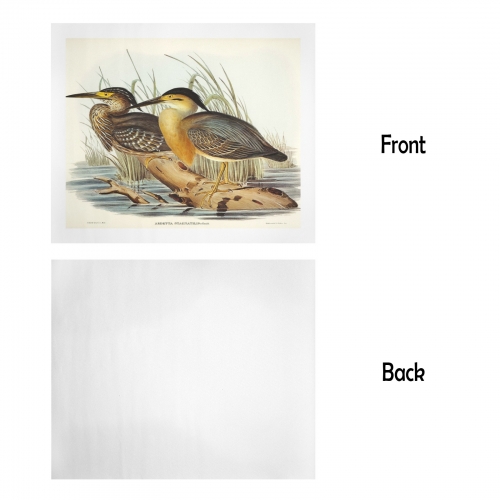 Art Print 24" x 20" Set of 3 ( US Fulfillment - Chicago )