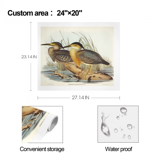 Art Print 24" x 20" Set of 3 ( US Fulfillment - Chicago )