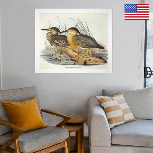 Art Print 24" x 20" Set of 3 ( US Fulfillment - Chicago )