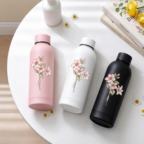 17oz Insulated Water Bottle