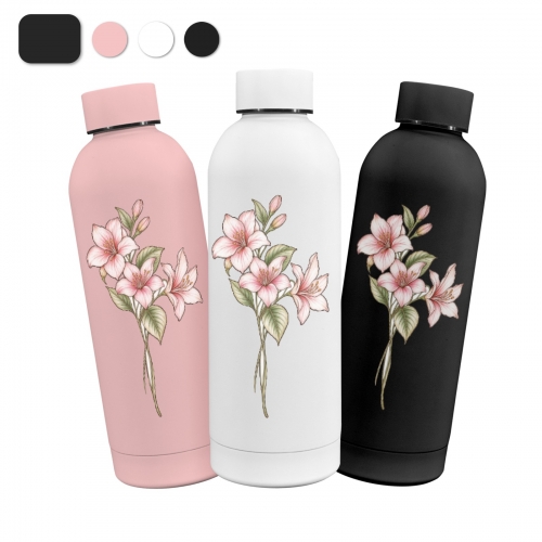 17oz Insulated Water Bottle