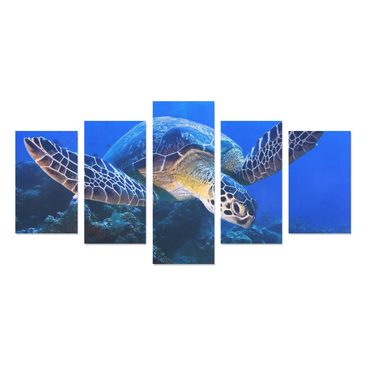 Custom Print Canvas Wall Art Prints (No Frame) 5-Pieces/Set C