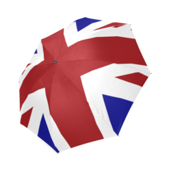 Foldable Umbrella (Model U01)
