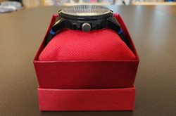 Unisex Silicone Strap Plastic Watch (Model 316)