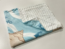 Baby Blanket 40"x 50"