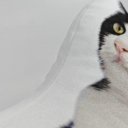 12" Custom Shaped Pillow (One Side Printing)