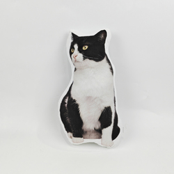 20" Custom Shaped Pillow (One Side Printing)