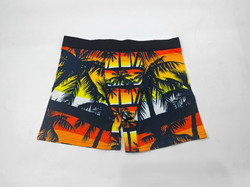 Men's All Over Print Boxer Briefs(ModelL34)