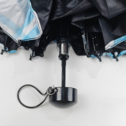 Mini Compact Umbrella